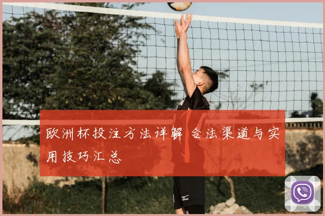 欧洲杯投注方法详解 合法渠道与实用技巧汇总