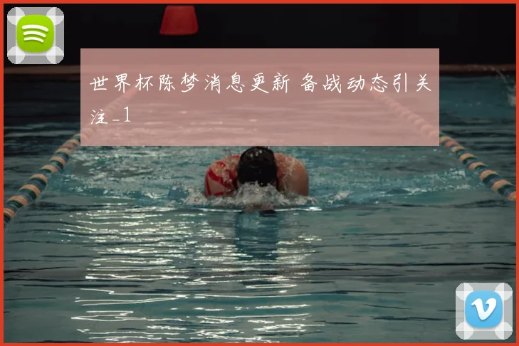 世界杯陈梦消息更新 备战动态引关注_1