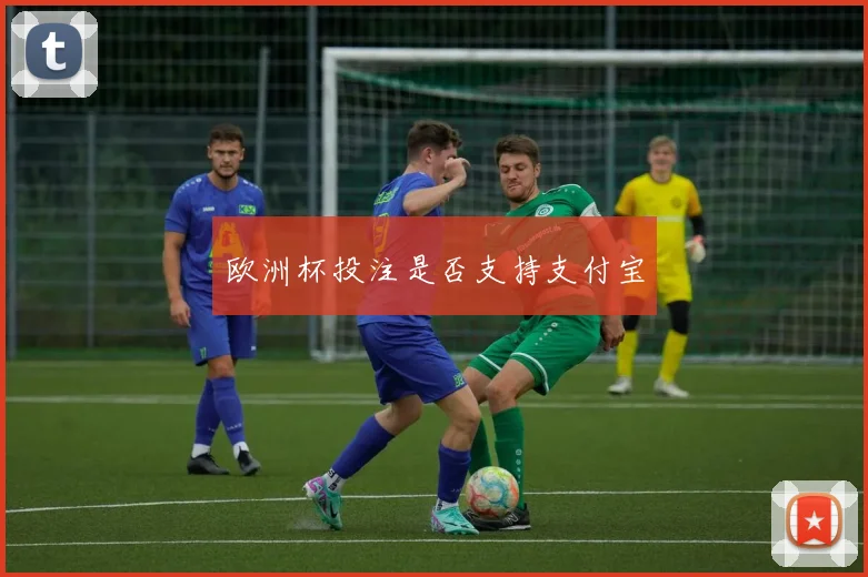 欧洲杯投注是否支持支付宝