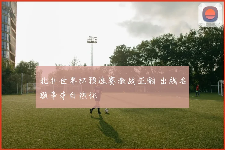 北非世界杯预选赛激战正酣 出线名额争夺白热化