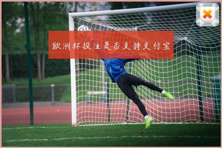 欧洲杯投注是否支持支付宝