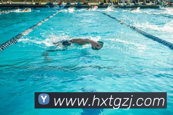 多媒体互动体验